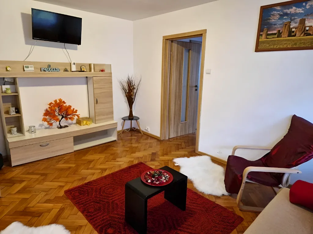 Apartament vanzare cumparare Brasov Brasov living spatios