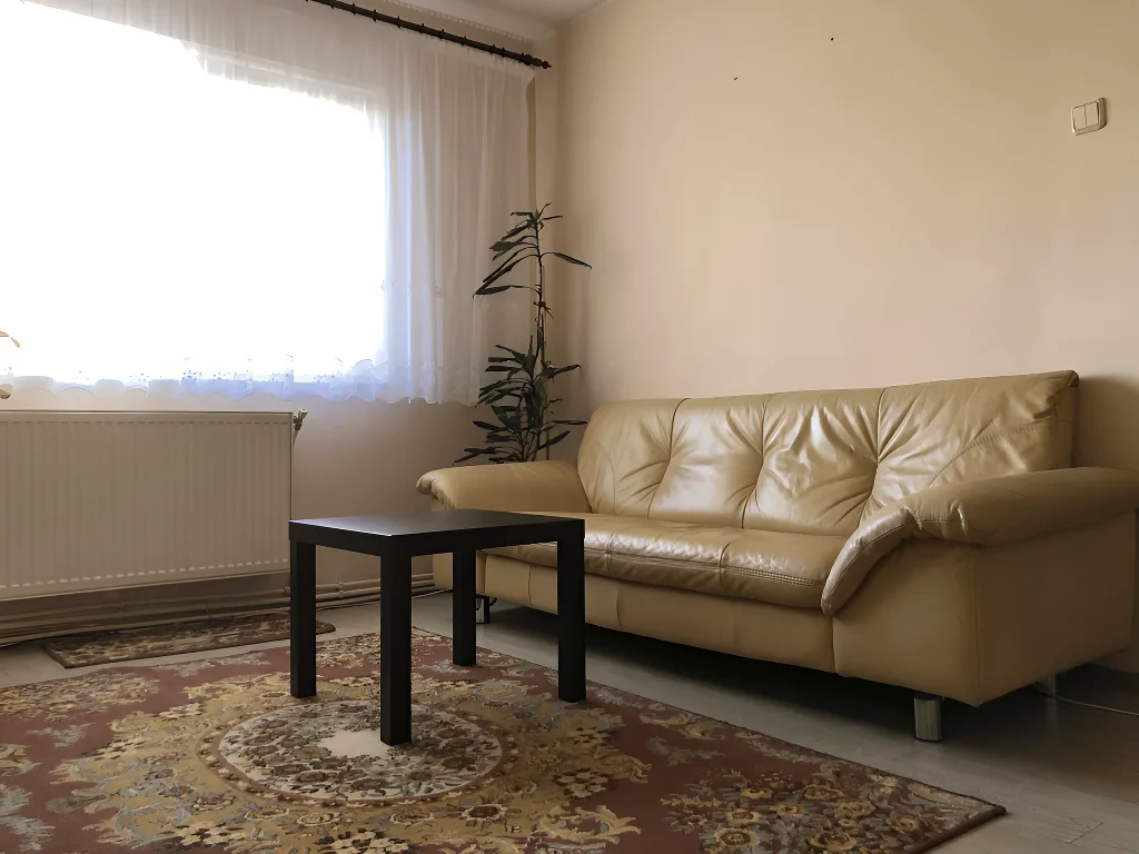 apartament de vanzare cumparare in Dej Cluj living cu canapea