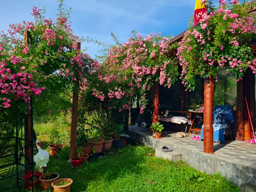 gradina superba cu pergola flori casa de vanzare Brad Hunedoara