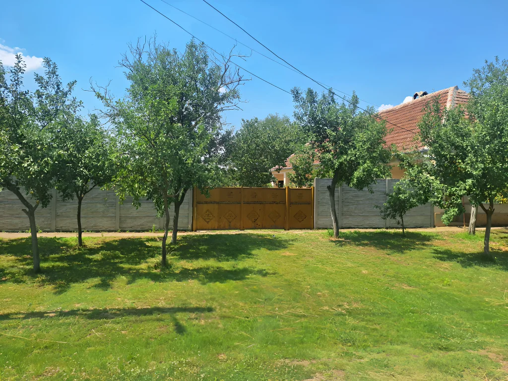vanzare cumparare casa Călacea Timiș livada cu pomi in curte