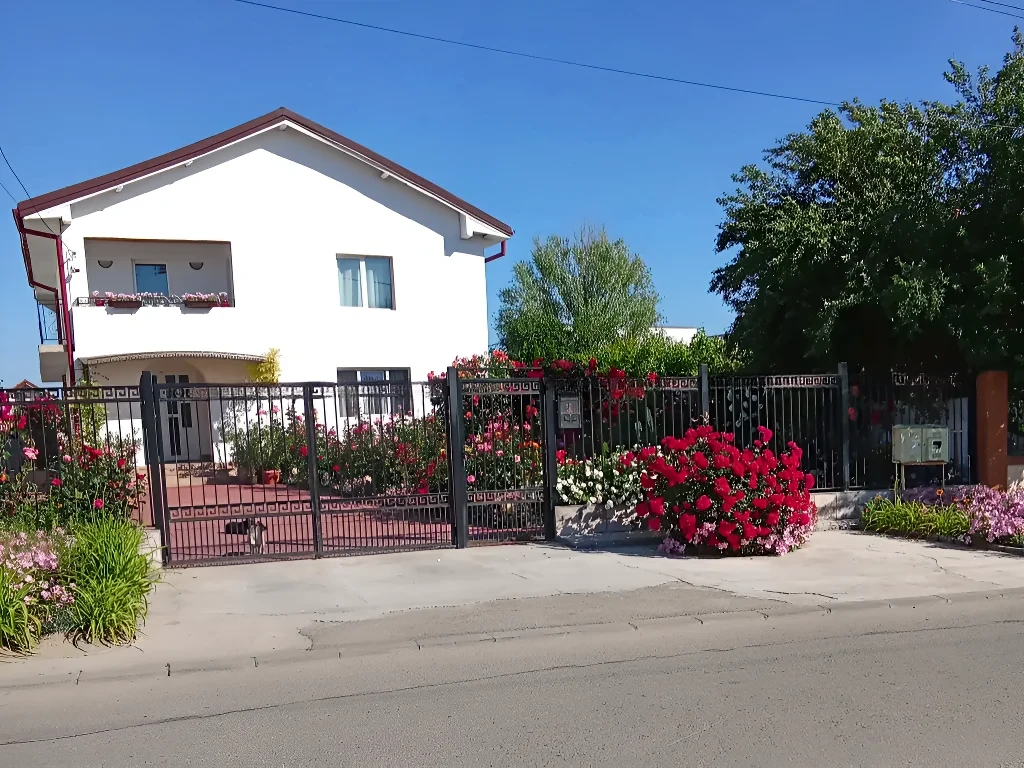 intrare casa alba cu flori rosii de vanzare cumparare Craiova Dolj