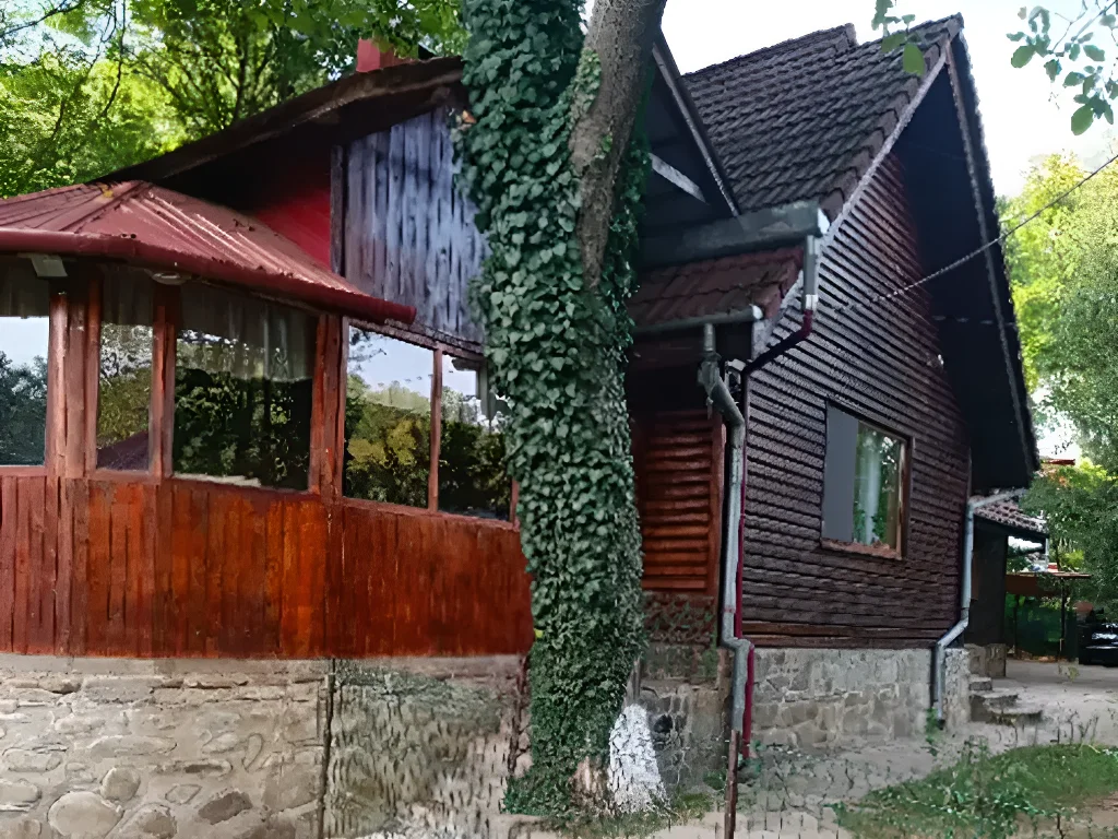 constructie lemn cu iedera casa vanzare cumparare Izvoarele Prahova