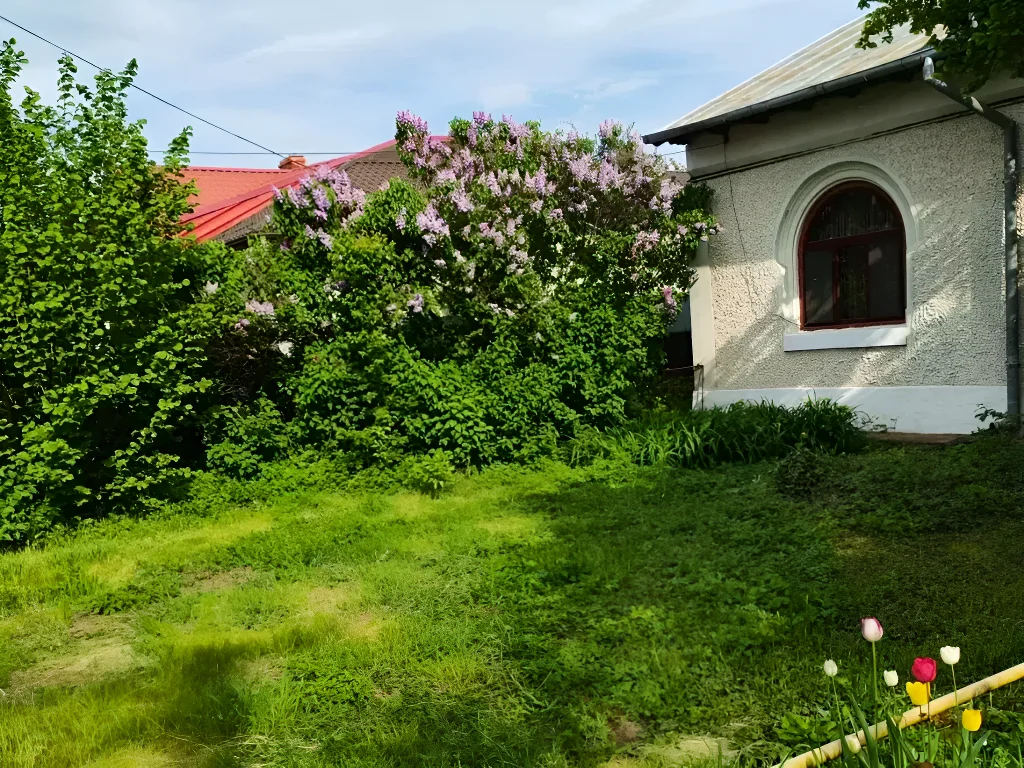 exterior curte si gard casa vanzare cumparare Ploiești Prahova