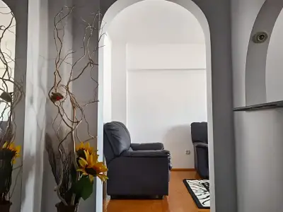 Living luminos apartament de inchiriere Arad Arad
