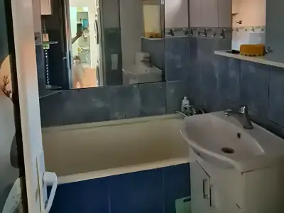 Baie moderna apartament de inchiriere Arad Arad cu cada