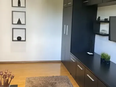 Sufragerie garsoniera inchiriere Brașov Brașov covor maro