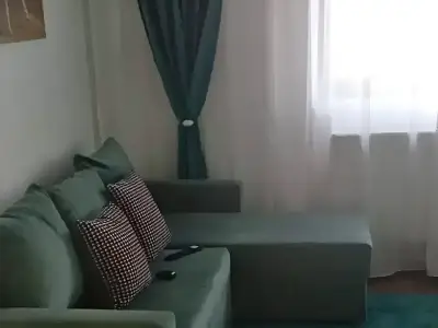Living apartament de vanzare in Chiajna Ilfov canapea