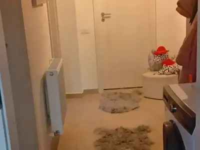 Apartament de vanzare in Chiajna Ilfov hol si baie