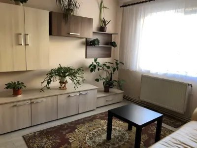living modern cu plante apartament vanzare cumparare Dej Cluj