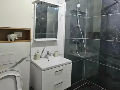 Apartament de inchiriere in Giroc Timis baie cu dus