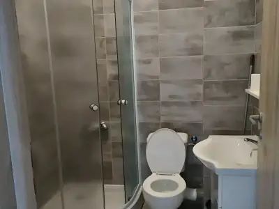 Baie moderna garsoniera de vanzare Roșu Ilfov cu dus
