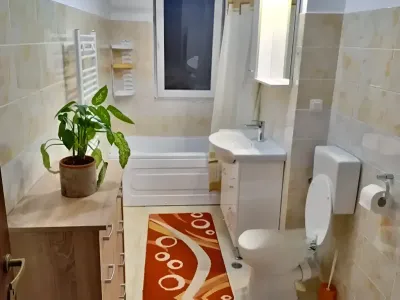 Baie apartament vanzare cumparare Sânpetru Brașov
