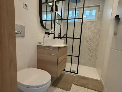 baie cu toaleta si chiuveta apartament inchiriere Sibiu Sibiu