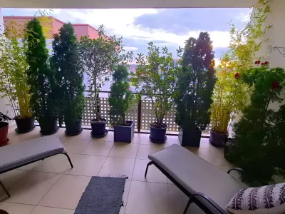 balcon cu plante apartament vanzare cumparare Timișoara Timiș