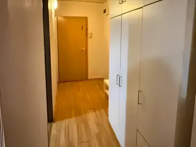 hol cu dulapuri albe apartament vanzare cumparare Timișoara Timiș