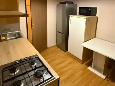 bucatarie cu frigider apartament vanzare cumparare Timișoara Timiș
