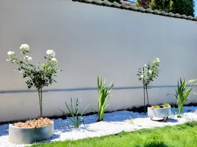 curte cocheta cu flori albe casa vanzare cumparare Bacău Bacău