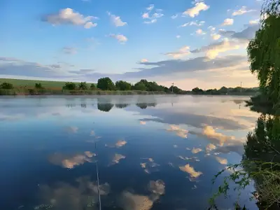 Peisaj natural cu lac si vegetatie langa casa Balotesti Ilfov
