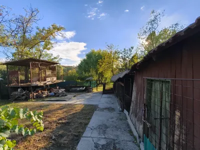 curte din spate si gard casa vanzare cumparare Blejești Teleorman