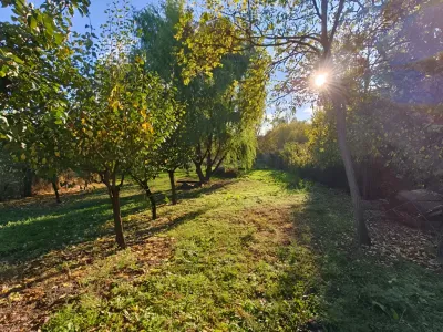 livada cu pomi la casa vanzare cumparare Blejești Teleorman