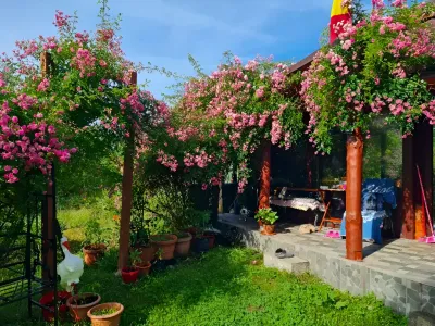 Casa de vanzare Brad