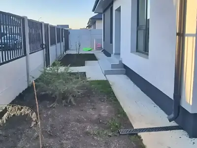 Curte cu gard si copac casa de vanzare Bragadiru Ilfov