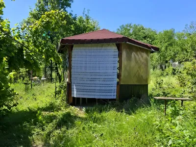 teren cu livadă casă de vanzare cumparare Brănești Dâmbovița