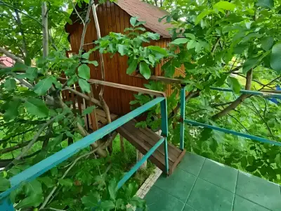 Balcon casa de vanzare in Buftea Ilfov langa padure verde