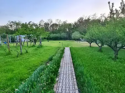 Gradina verde casa de vanzare cu livada in Buftea Ilfov