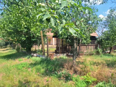 mar in livada casei de vanzare cumparare Călacea Timiș