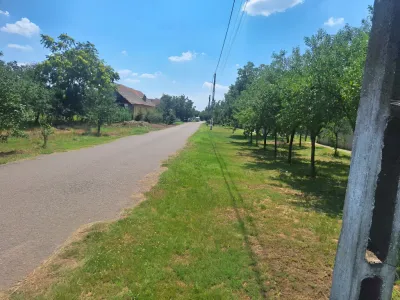 teren intravilan cu constructii de vanzare Călacea Timiș