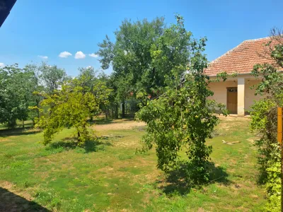 curte cu pomi fructiferi casa de vanzare Călacea Timiș