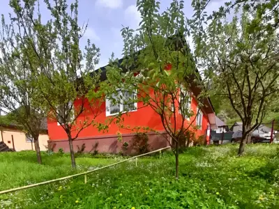 Casa de vanzare in Cavnic Maramures cu livada verde
