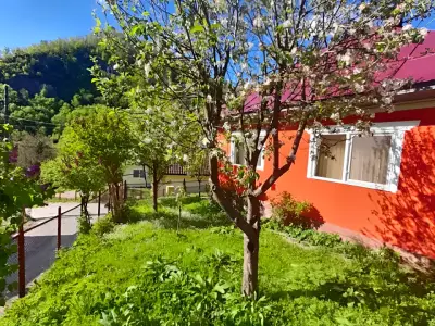 Casa rosie de vanzare Cavnic Maramures cu pomi fructiferi