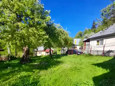 Curte cu livada casa de vanzare Cavnic Maramures