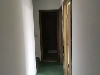 hol cu covor verde casa vanzare cumparare Chiajna Ilfov