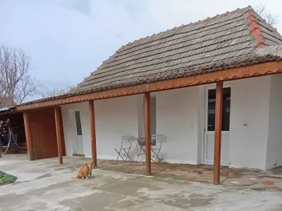 curte casa cu caine de vanzare cumparare Craiova Dolj