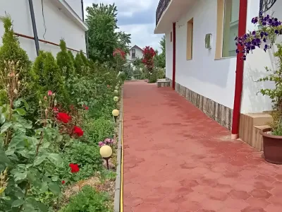 aleea casei albe cu flori curte casa vanzare cumparare Craiova Dolj