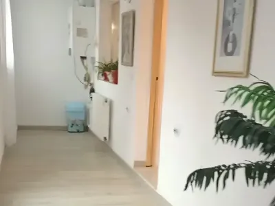 hol lung cu planta la ghiveci casa vanzare cumparare Craiova Dolj