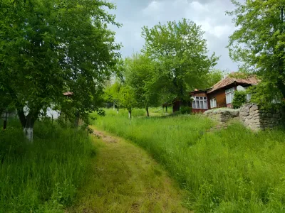 Casa vanzare cumparare Furtunesti Buzau in natura