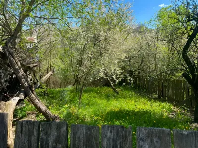 Teren cu livada casa de vanzare cumparare Gutinaș Bacău