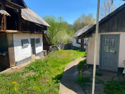 Curte cu gradina casa de vanzare cumparare Gutinaș Bacău