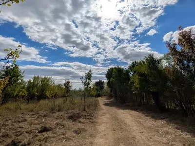 teren pentru casa vanzare cumparare Hârșa Prahova padure