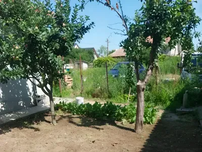 livada si gradina casa vanzare cumparare Hârșova Constanța