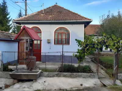 casa traditionala mica alba vanzare cumparare Homorod Brasov