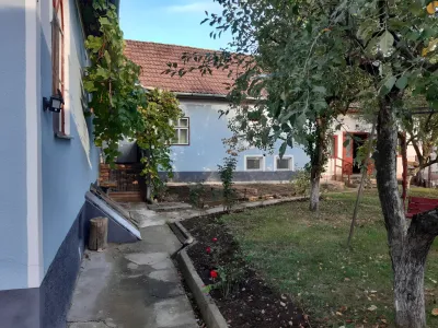 curte verde cu pomi casa de vanzare cumparare Homorod Brasov
