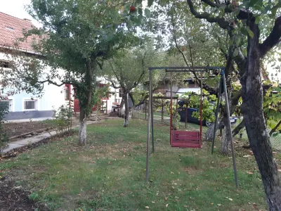 livada cu leagan verdeata casa vanzare cumparare Homorod Brasov
