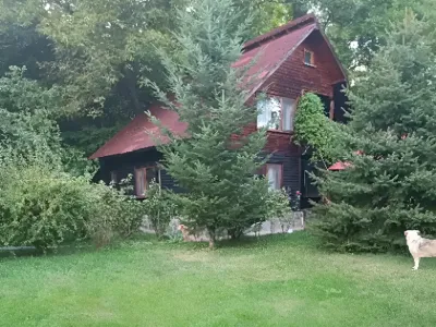 curte batraneasca verde casa vanzare cumparare Izvoarele Prahova