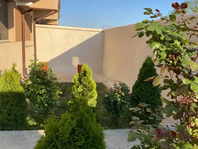 curte ingrijita cu copaci casa de vanzare Jilava Ilfov