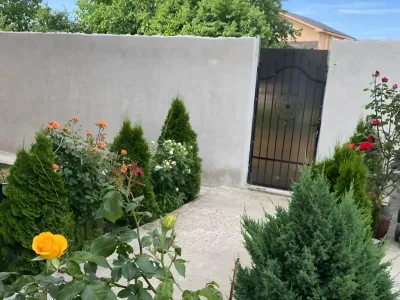 casa de vanzare Jilava Ilfov cu curte si trandafiri galbeni